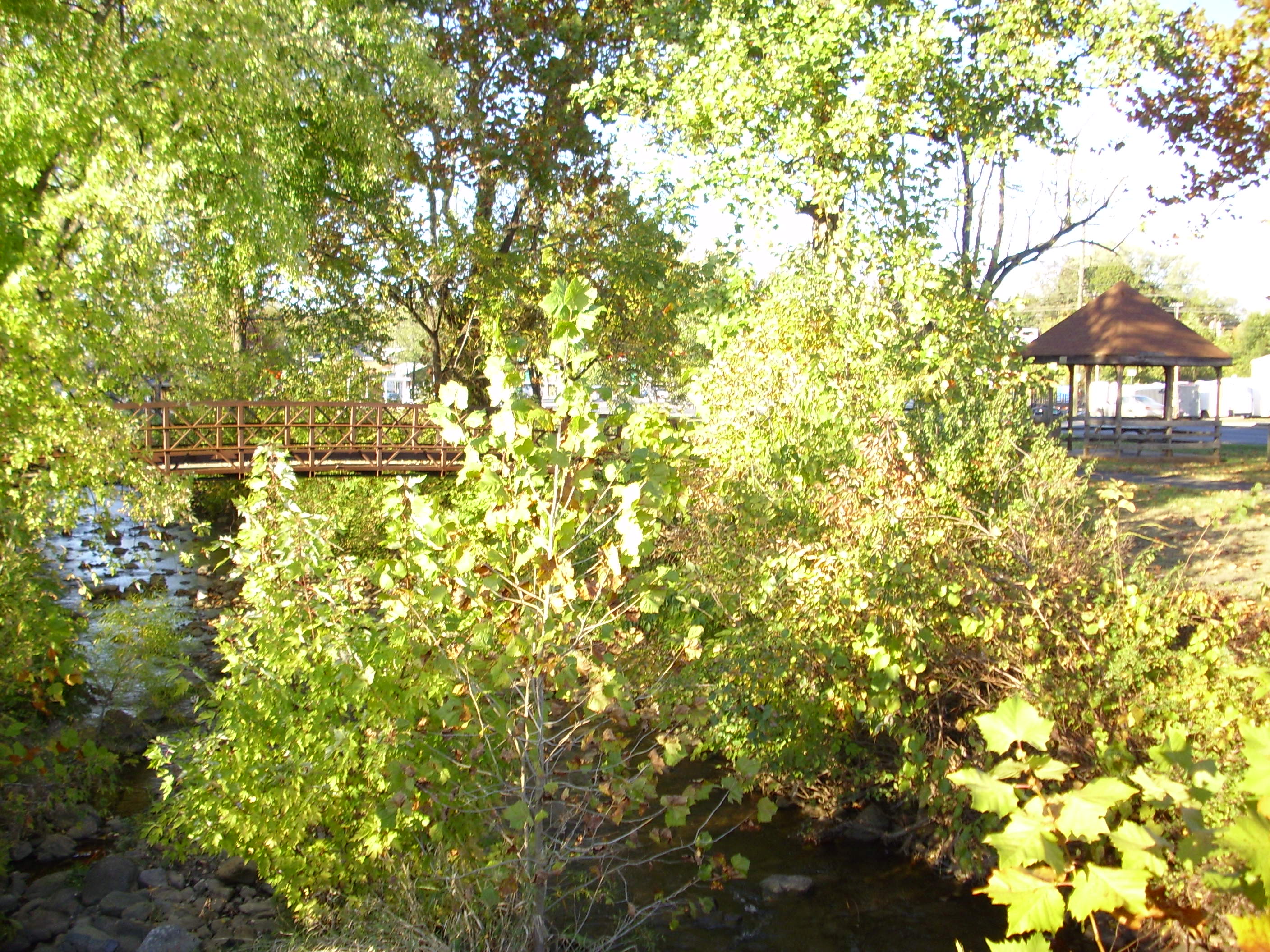 DSCI0058.JPG